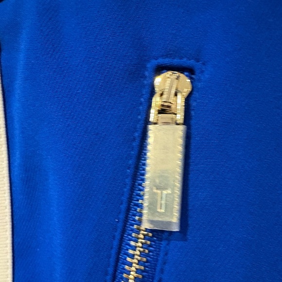 Ted Baker London Blue Stripe Pants - Picture 7 of 14